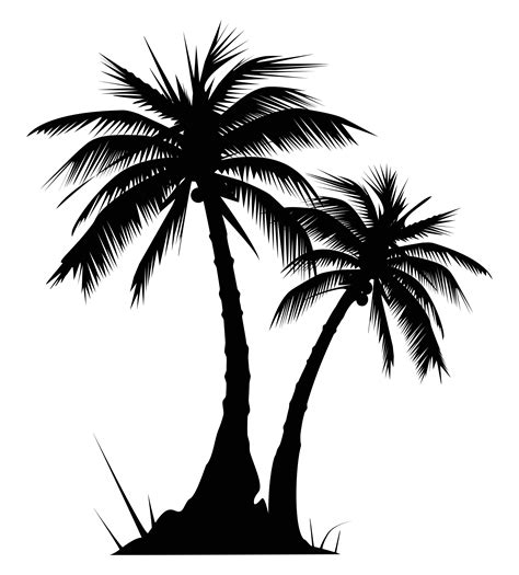 Palm tree clipart black and white - Palm Tree SVG Tropical Plants Vector Bundle. Sago palm leaves Sublimation PNG files. Line art drawing, botanical clipart. Digital download. (122) $9.90. $11.00 (10% off) Black & White Summer Clipart. Hand Drawn Beach, Vacation, Holiday Clip Art.